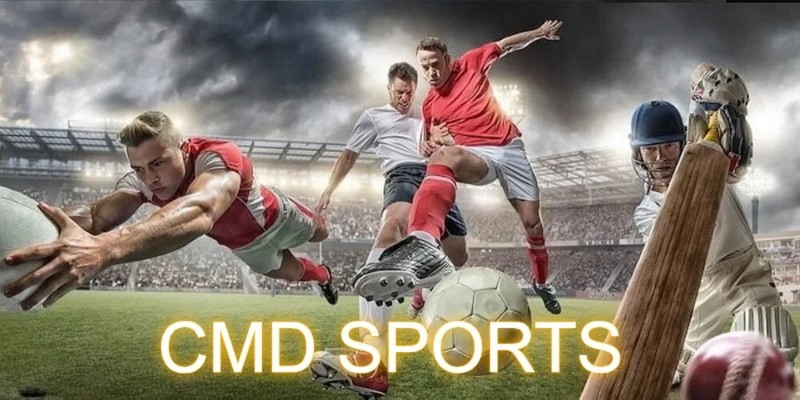 Những môn thể thao đáng chú ý tại CMD Sports